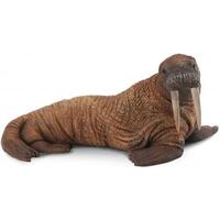 Collecta - Walrus 88569