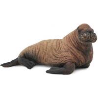 Collecta - Walrus Calf 88570