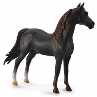 Collecta - Morgan Stallion Chestnut 88647