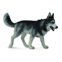 Collecta - Siberian Husky 88707