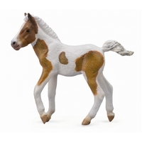 Collecta - Dartmoor Hill Foal Skewbald 88735