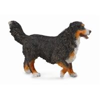 Collecta - Bernese Mountain Dog 88801