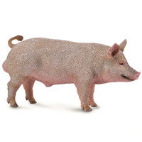 Collecta - Boar 88864