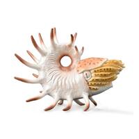 Collecta - Cooperoceras 88946