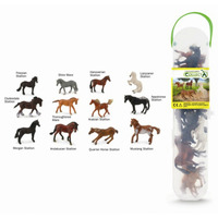 Collecta - Horses Tube (12 pieces)