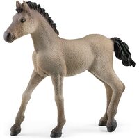 Schleich - Criollo Definitivo Foal 13949