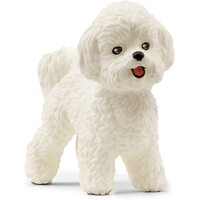 Schleich - Bichon Frise 13963