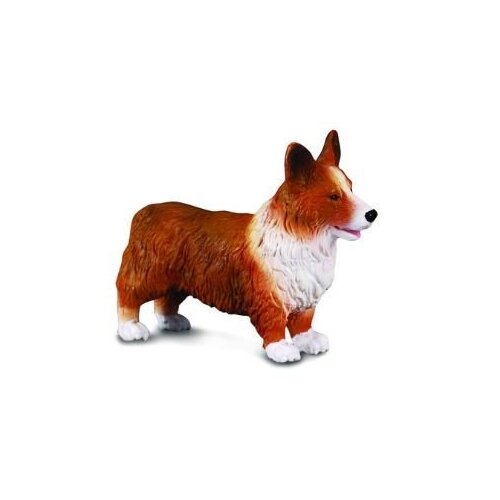 Collecta - Welsh Corgi 88082