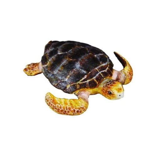 Collecta - Loggerhead Turtle 88094