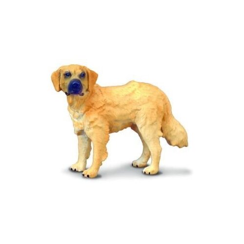 Collecta - Golden Retriever 88116