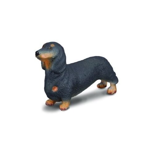 Collecta - Dachshund 88185