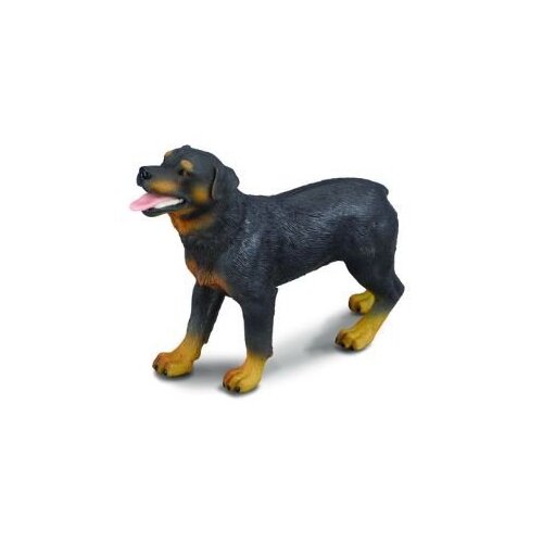 Collecta - Rottwieller 88189