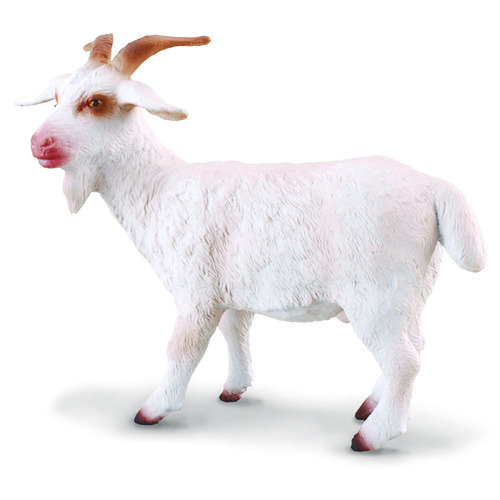 Collecta - Billy Goat 88212