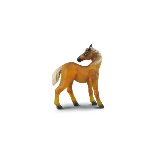 Collecta - Haflinger Foal Watching 88312