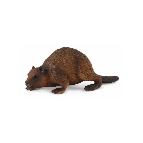 Collecta - Beaver 88382