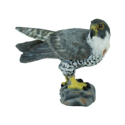 Collecta - Peregrine Falcon 88399