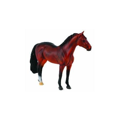 Collecta - Hanoverian Stallion Bay 88431