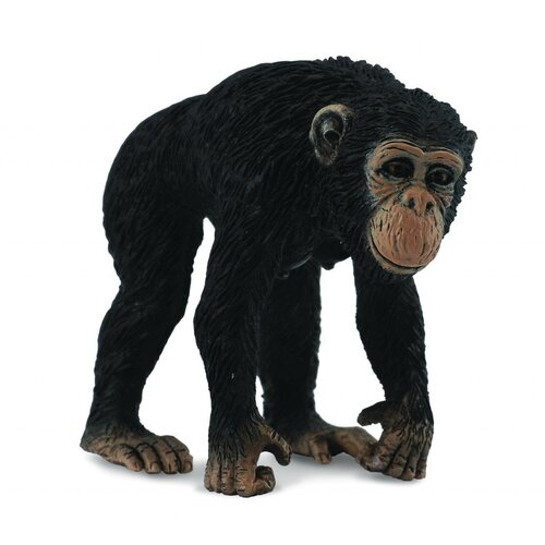 Collecta - Chimpanzee Female 88493