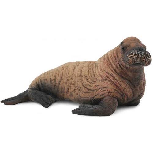 Collecta - Walrus Calf 88570