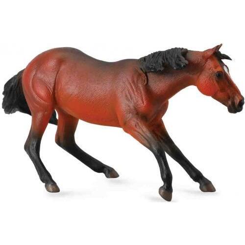 Collecta - Quarter Horse Stallion Bay 88584