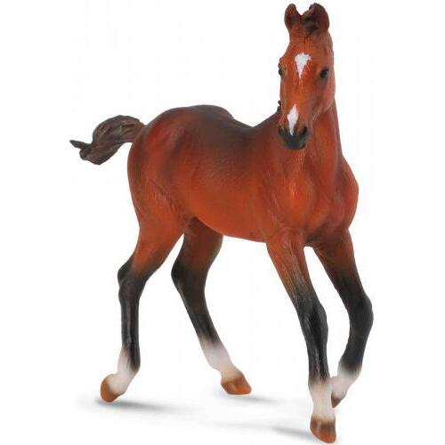 Collecta - Quarter Horse Foal  Bay 88586