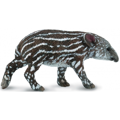 Collecta - Bairds Tapir Baby 88597