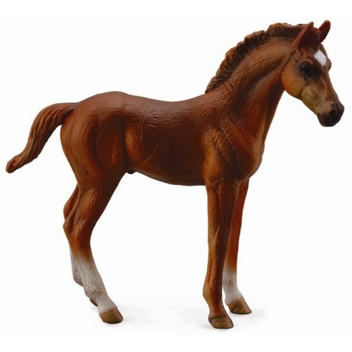 Collecta - Thoroughbred Foal Standing - Chestnut 88671