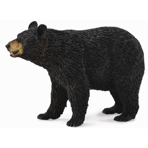 Collecta - American Black Bear 88698