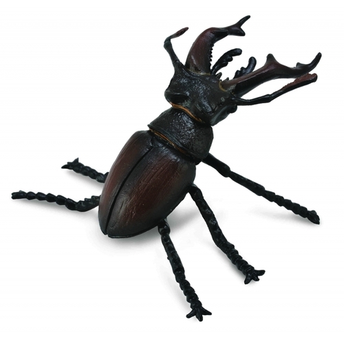 Collecta - Stag Beetle 88703