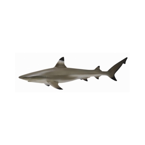 Collecta - Blacktip Reef Shark 88726