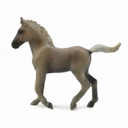 Collecta - Rocky Mountain Foal Chocolate 88799