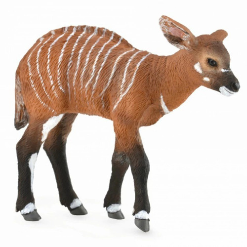 Collecta - Bongo Calf 88823