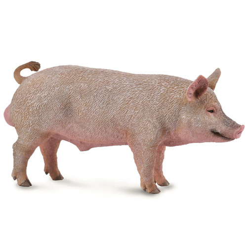 Collecta - Boar 88864