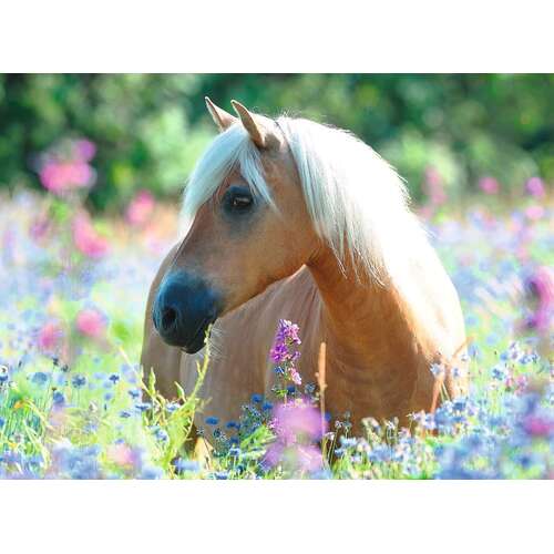 Ravensburger - Wildflower Pony Puzzle 300pc