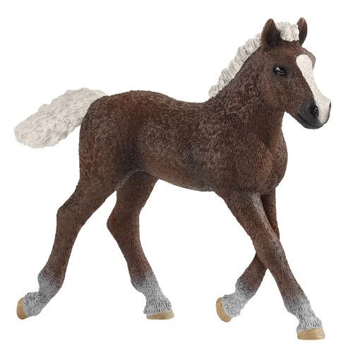 Schleich - Black Forest Foal 13899