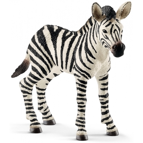 Schleich - Zebra Foal 14811