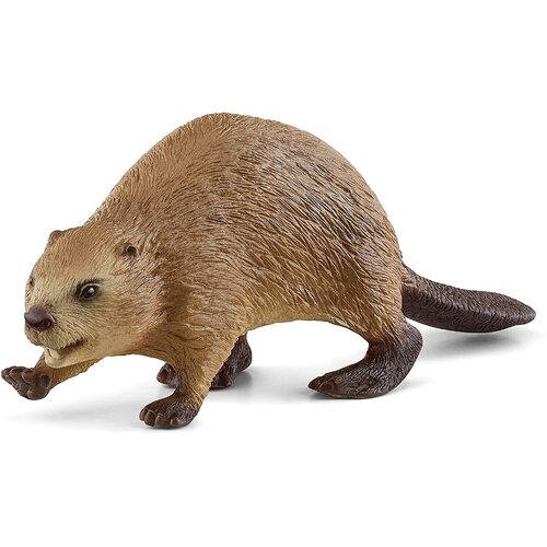 Schleich - Beaver 14855